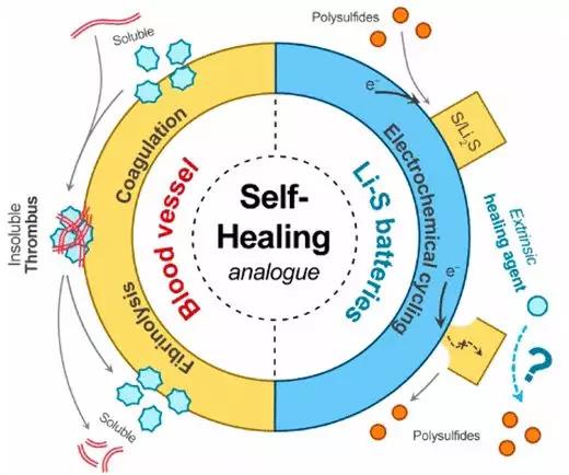 editor1560153324745561.jpg 1.jpg